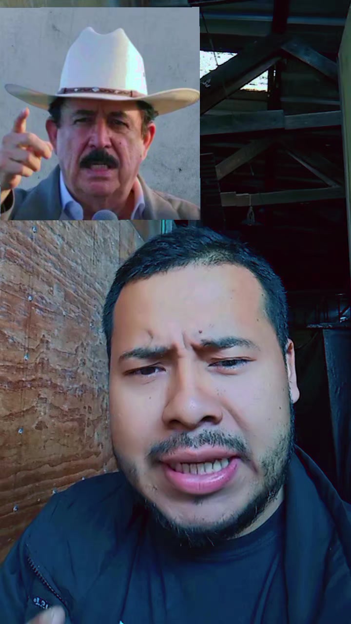 @mauroHD