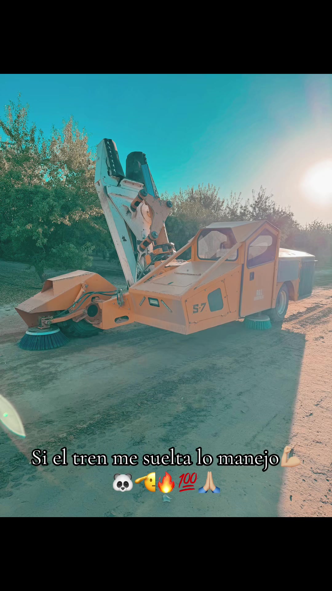 @elpanda.R1