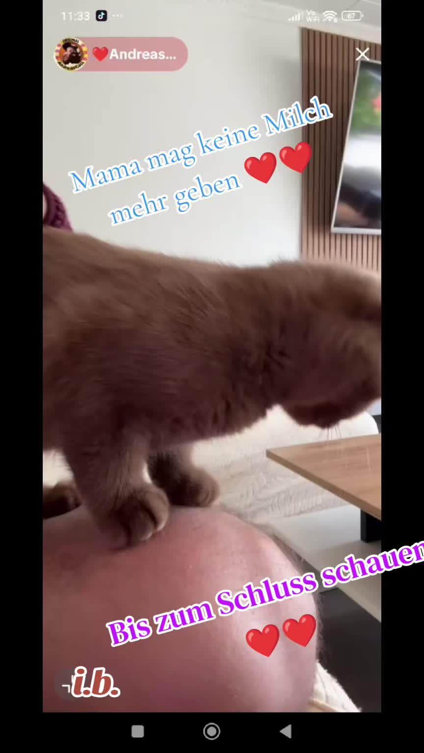 @ines (Miss Marple)❤️T❤️ACats❤️