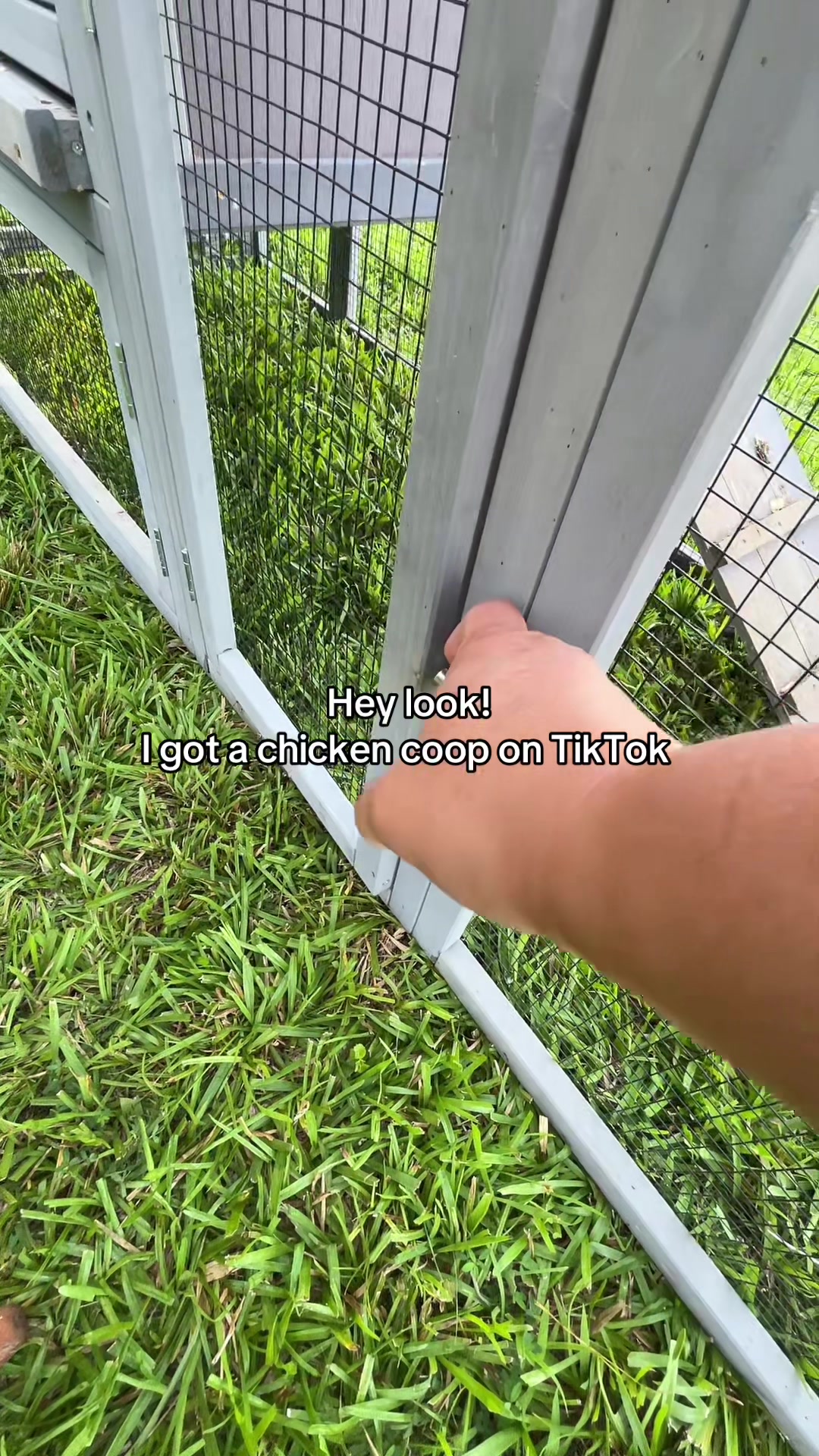 @A M B E R 🗝️