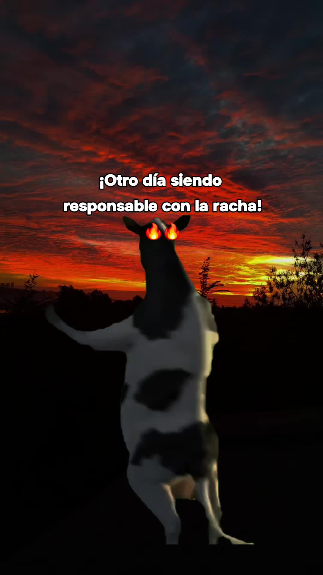 @Henry Ambrocio