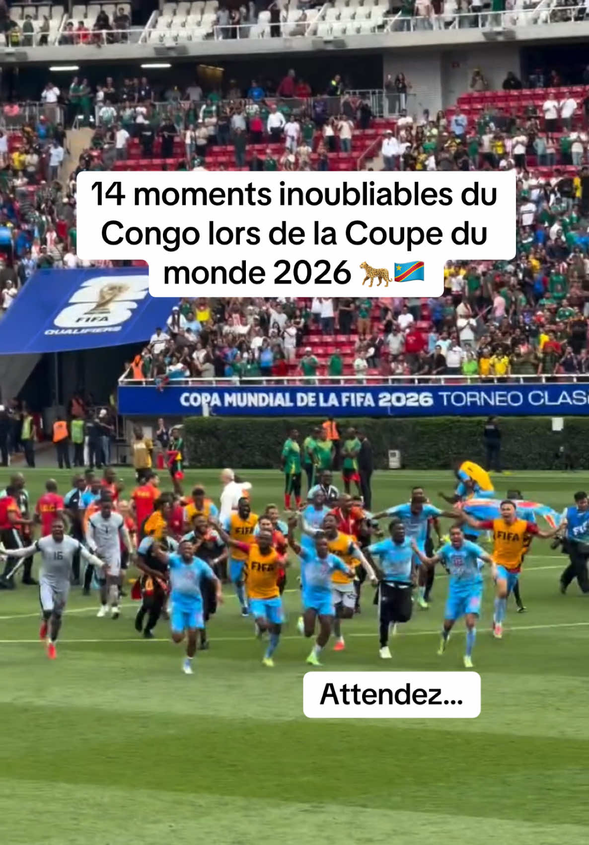 @congolese_dna