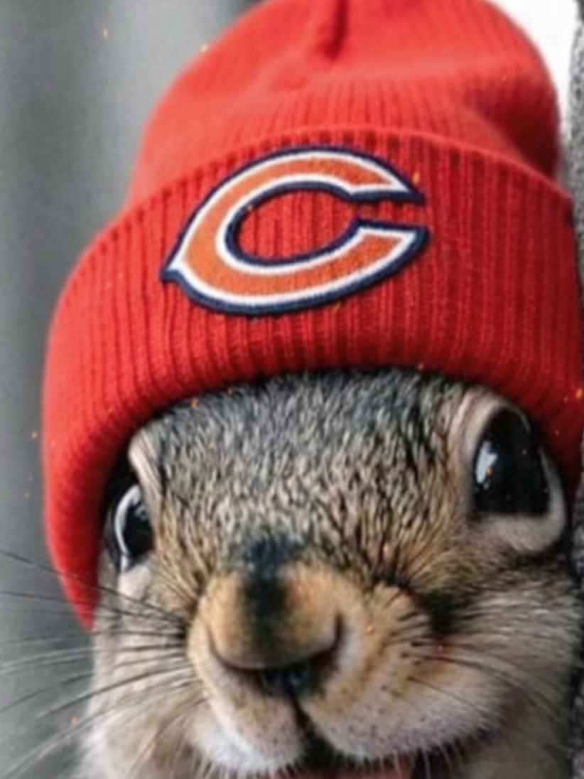 @-=»🐻«ɮɛǟʀֆ ʄǟռ»🏈«=-