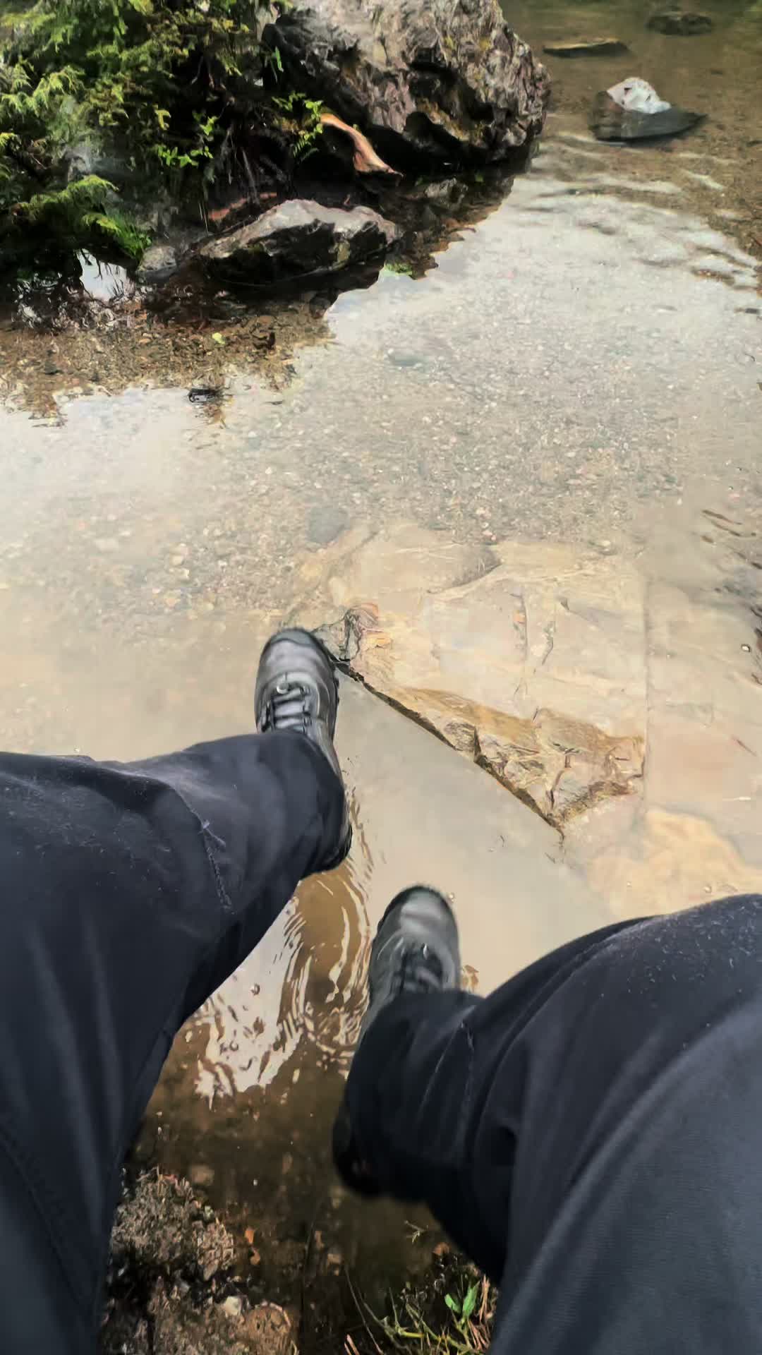 @🌲 James | WA 🏔️