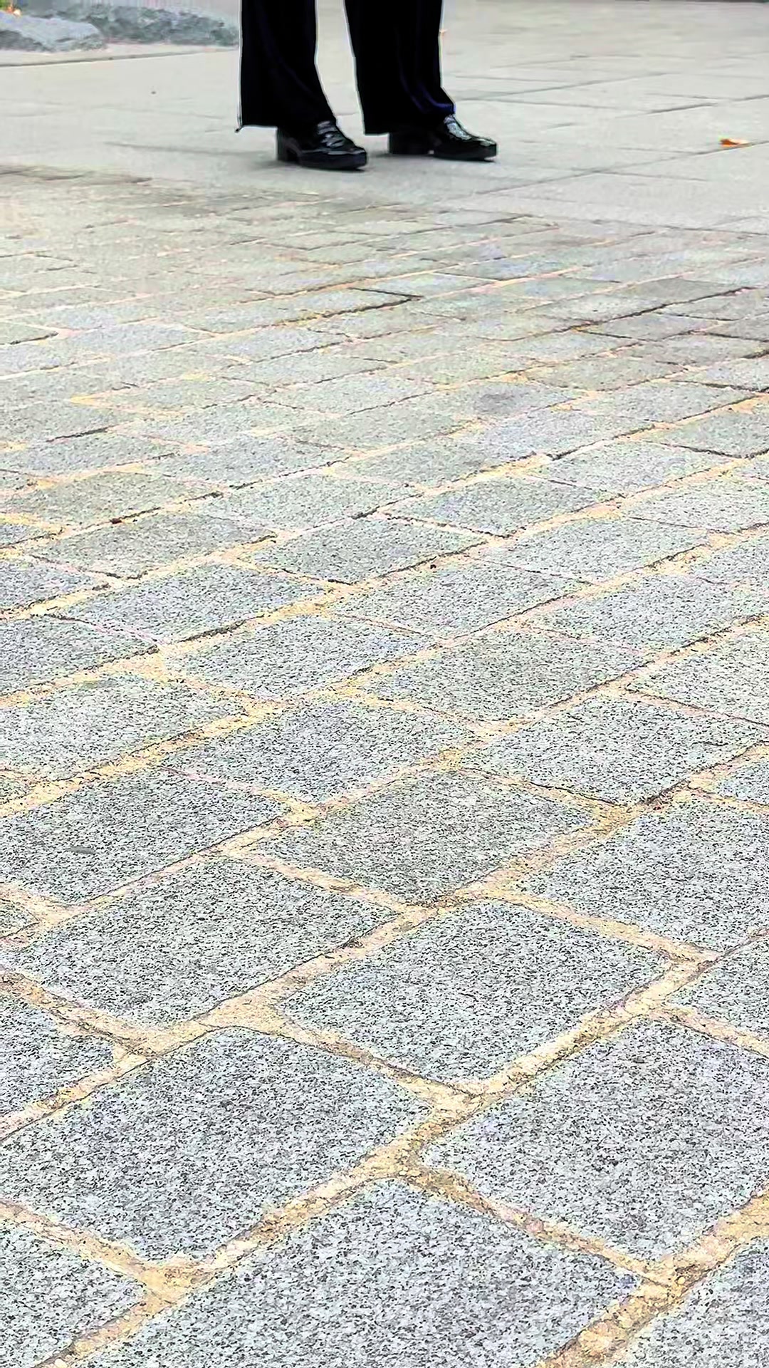 @kameleon75012