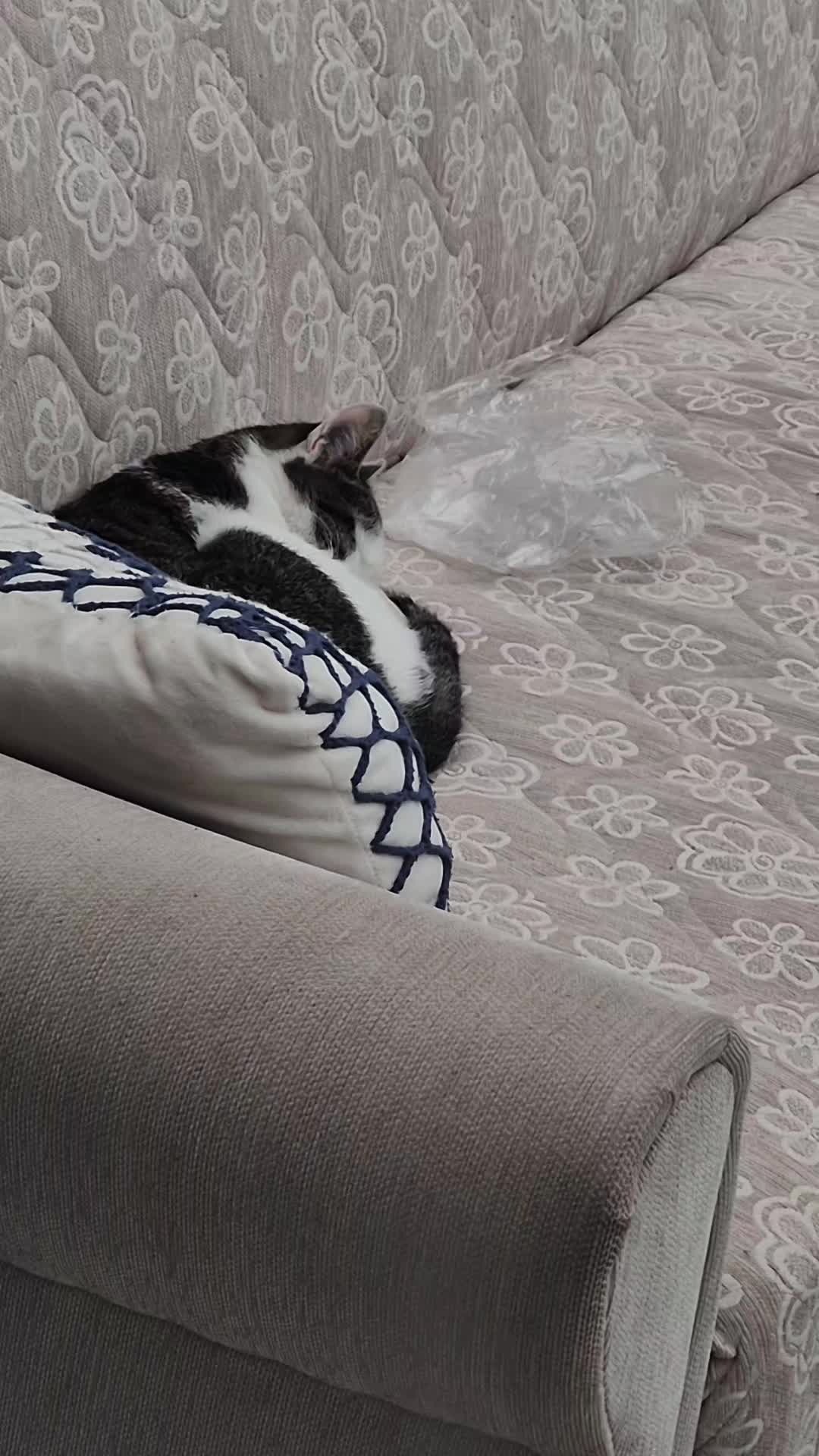 @G&uuml;lseren &Ouml;zdogan
