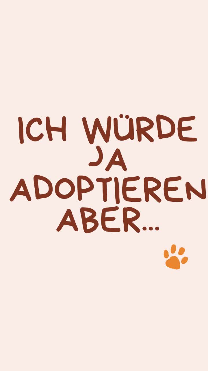 @Hundehilfe Bakony e.V.