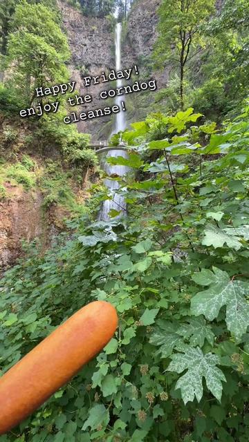 @Multnomah Falls Adventures