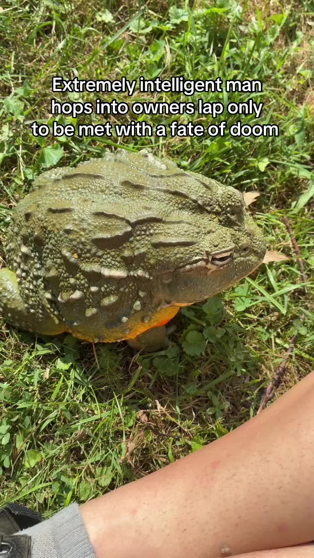 @Courtney | Amphibian Mother ☀️