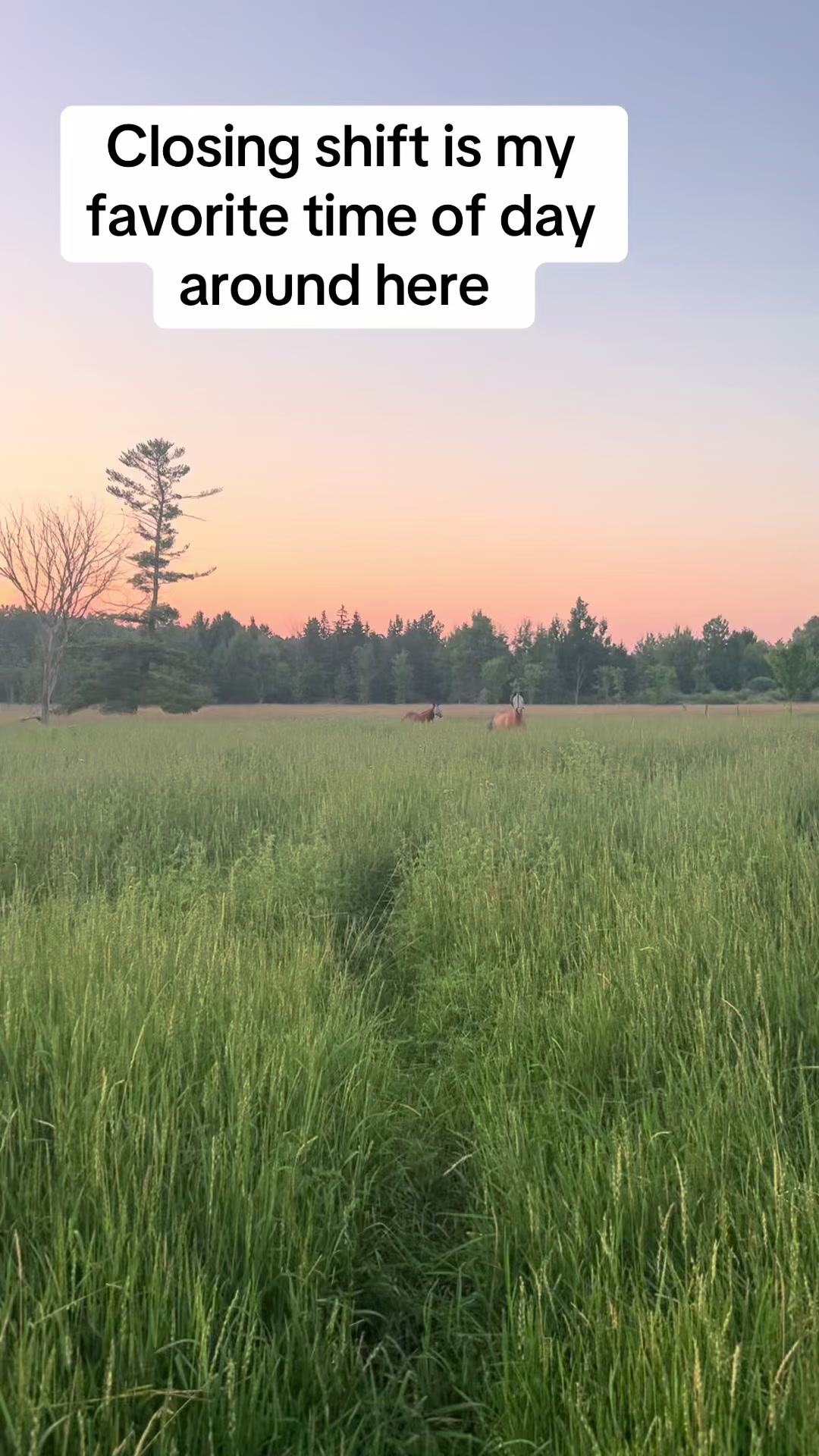 @littlesandycreekfarm