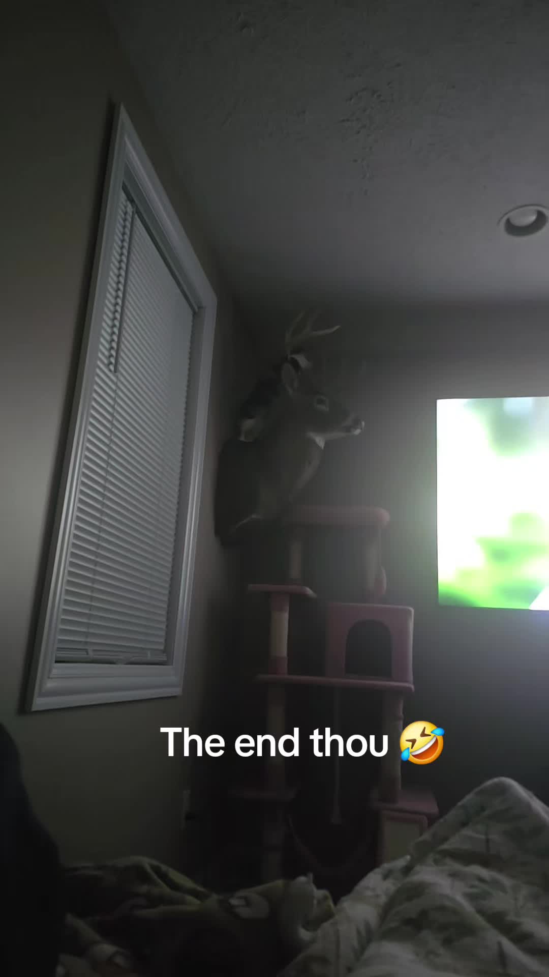 @Samantha Marie