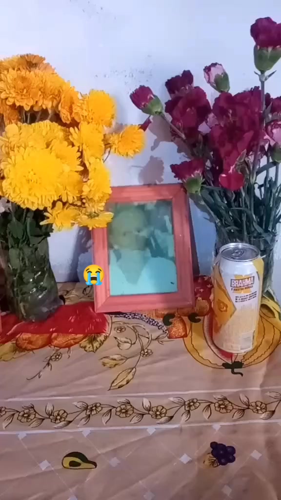 @🩵Rosa🦋❄️🌻🐅🍪🐝🌲