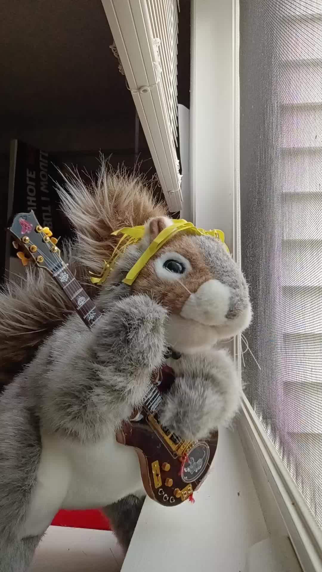 @Charles_TheSquirrel