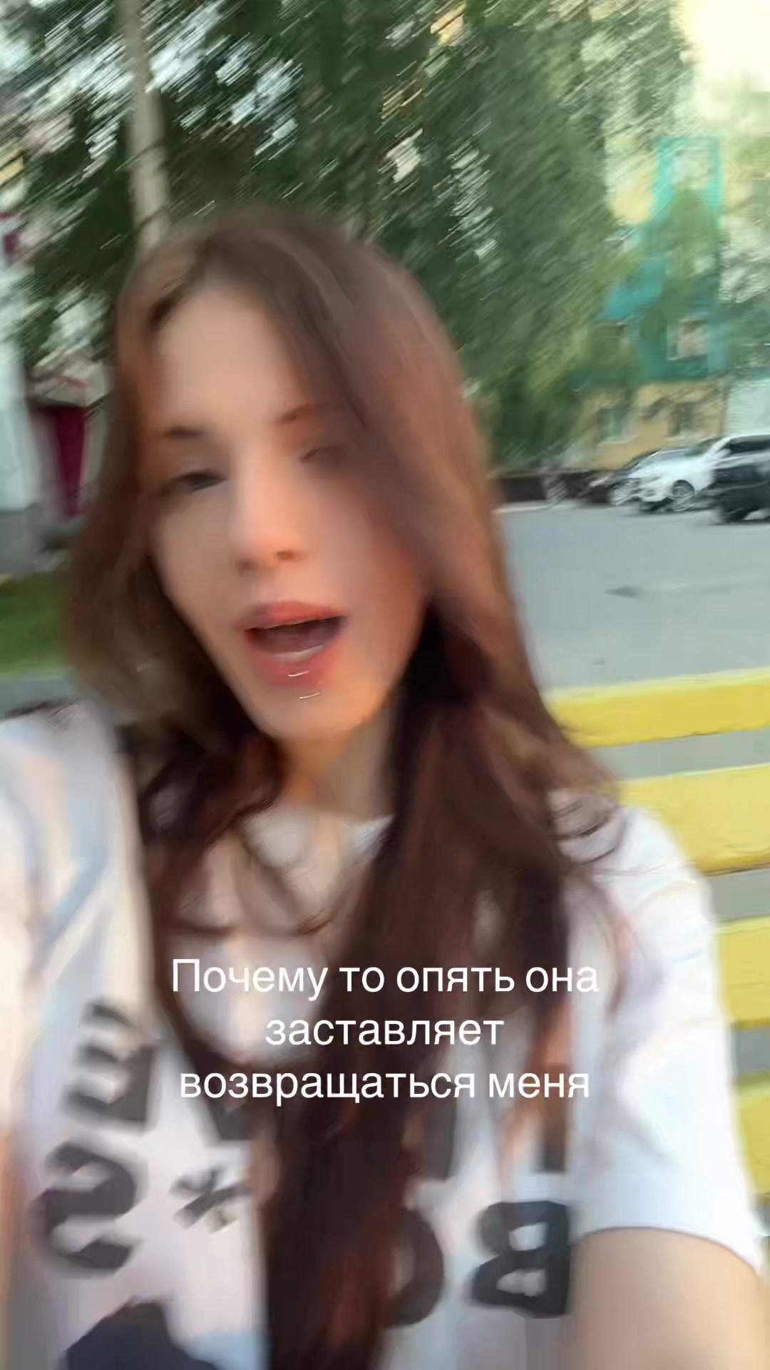 @Кошачьи шалости