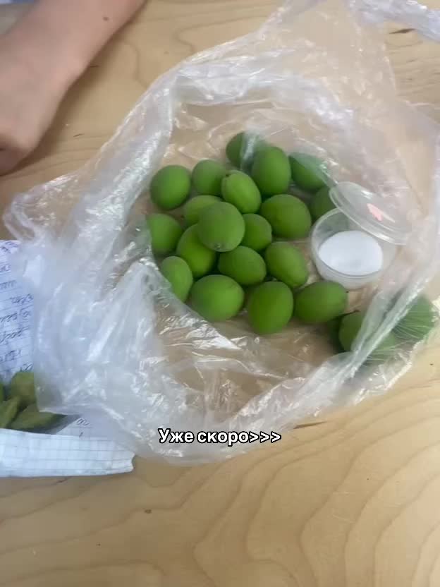 @avida
