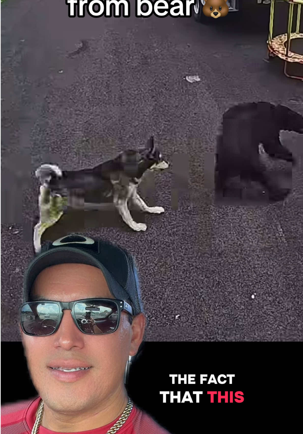 @🪶TheN8tiveDogfather🐾