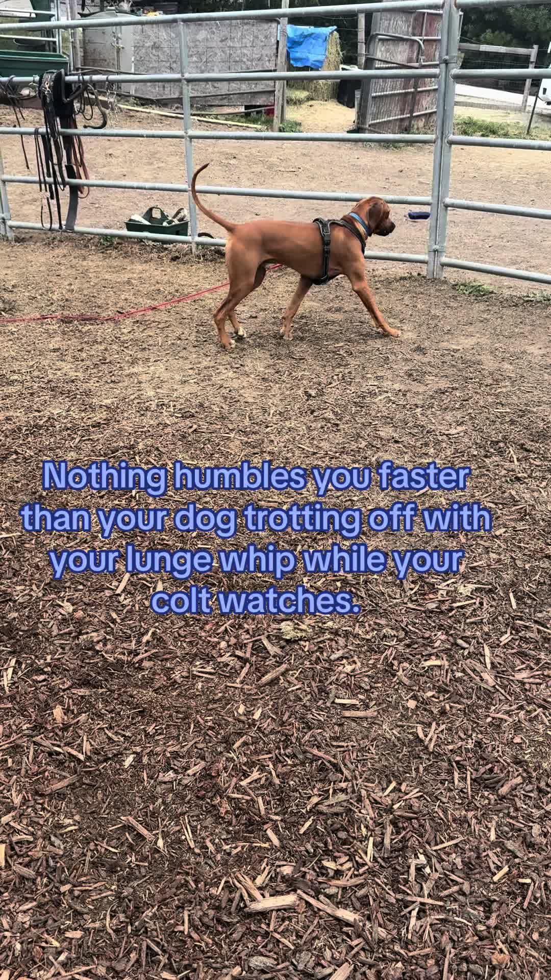 @BoeRanch14