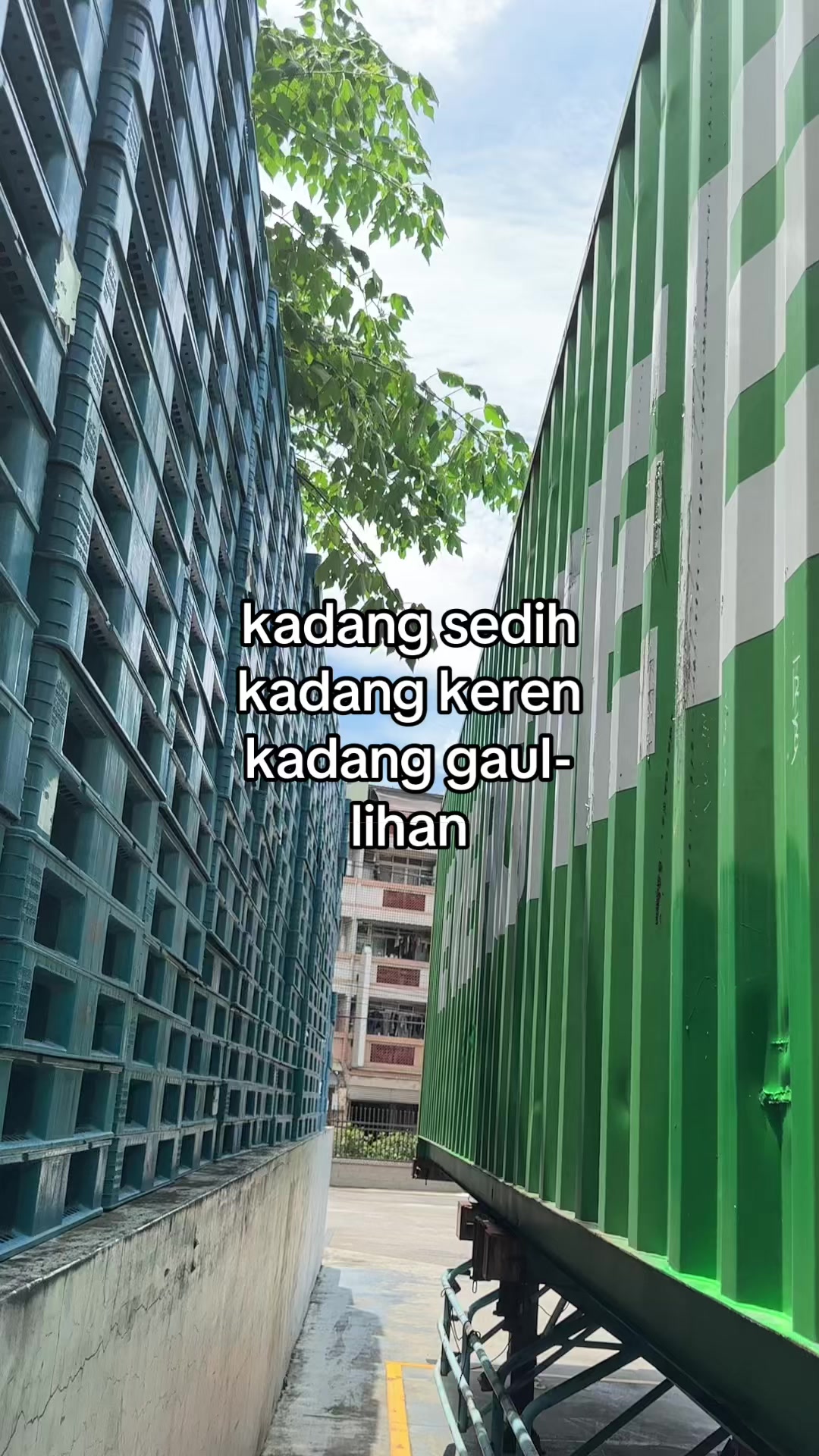@aw๐ฏ