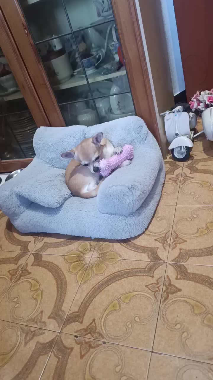 @Ilaria🦩💚🐿️