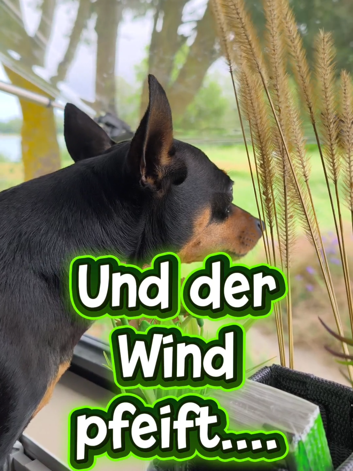 @ICH BIN'S