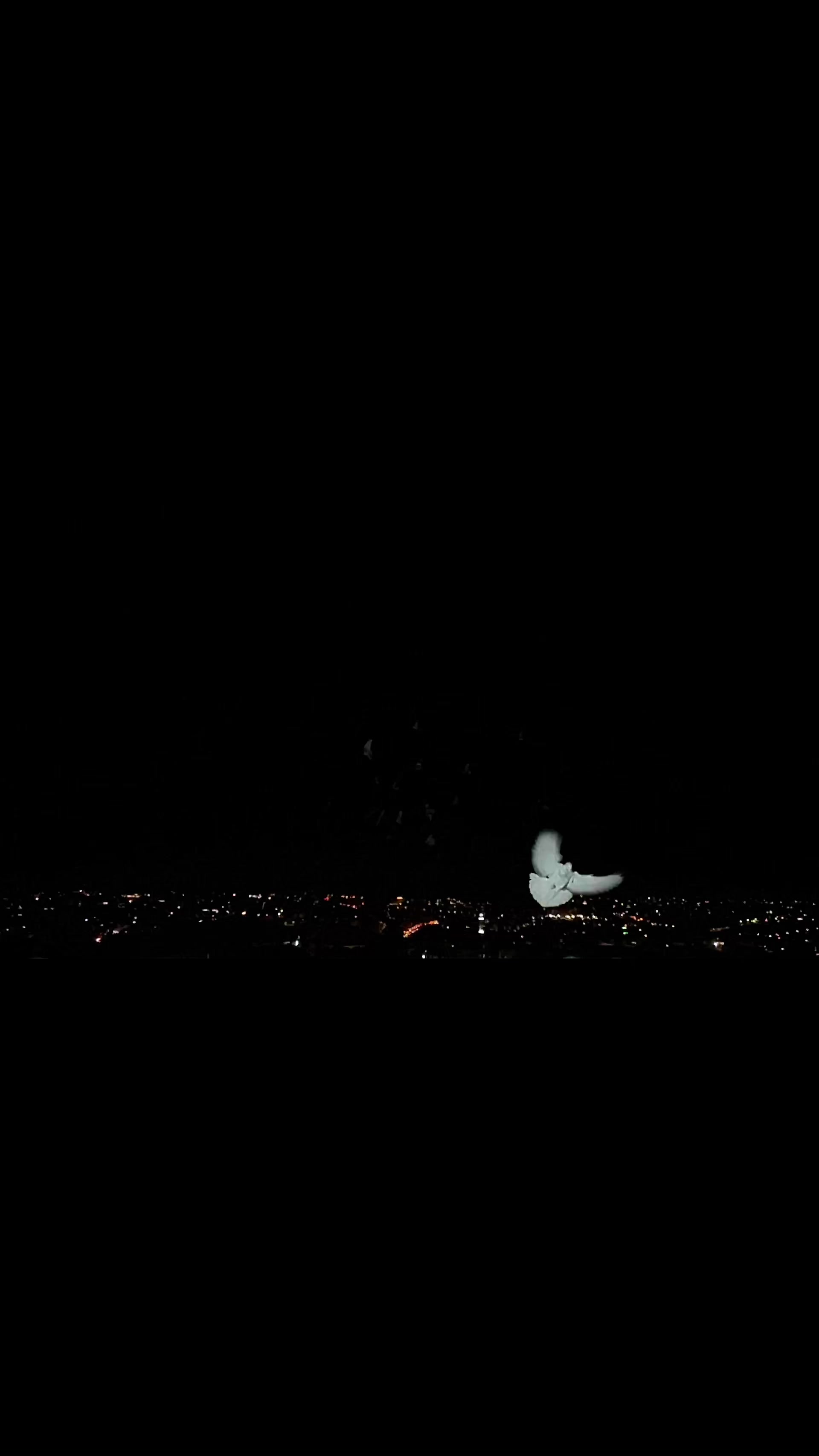 @Skybirdworld
