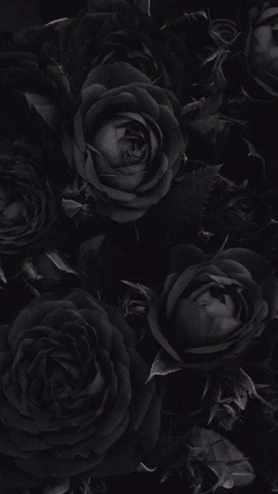 @༄₊˚☁️ 𝑯𝒂𝒏𝒋𝒊 ☁️˚₊༄