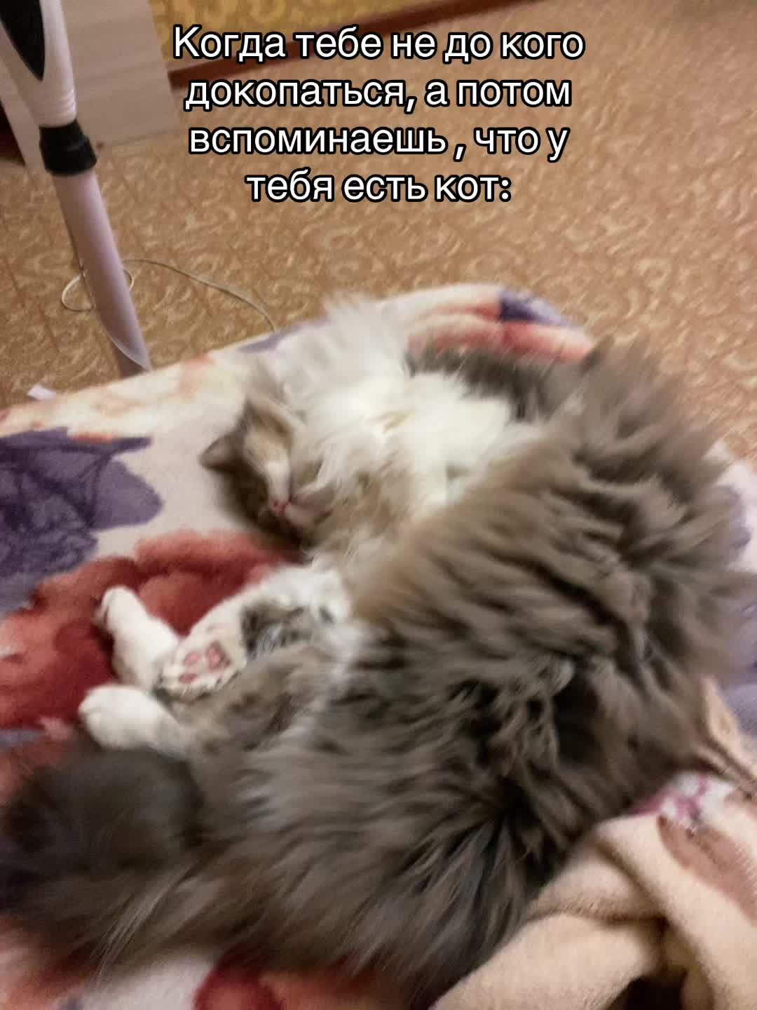 @Дианочка Репкина