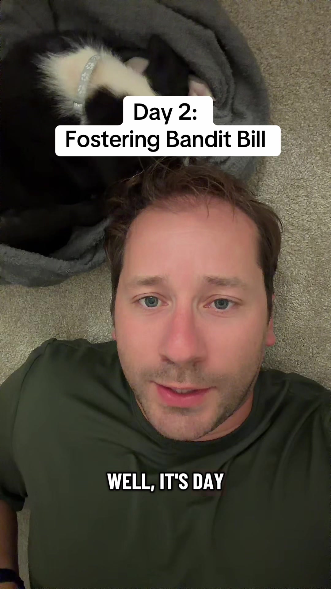 @dadchats