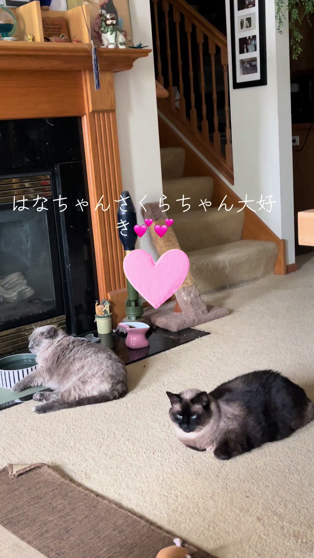 @sakurahana016