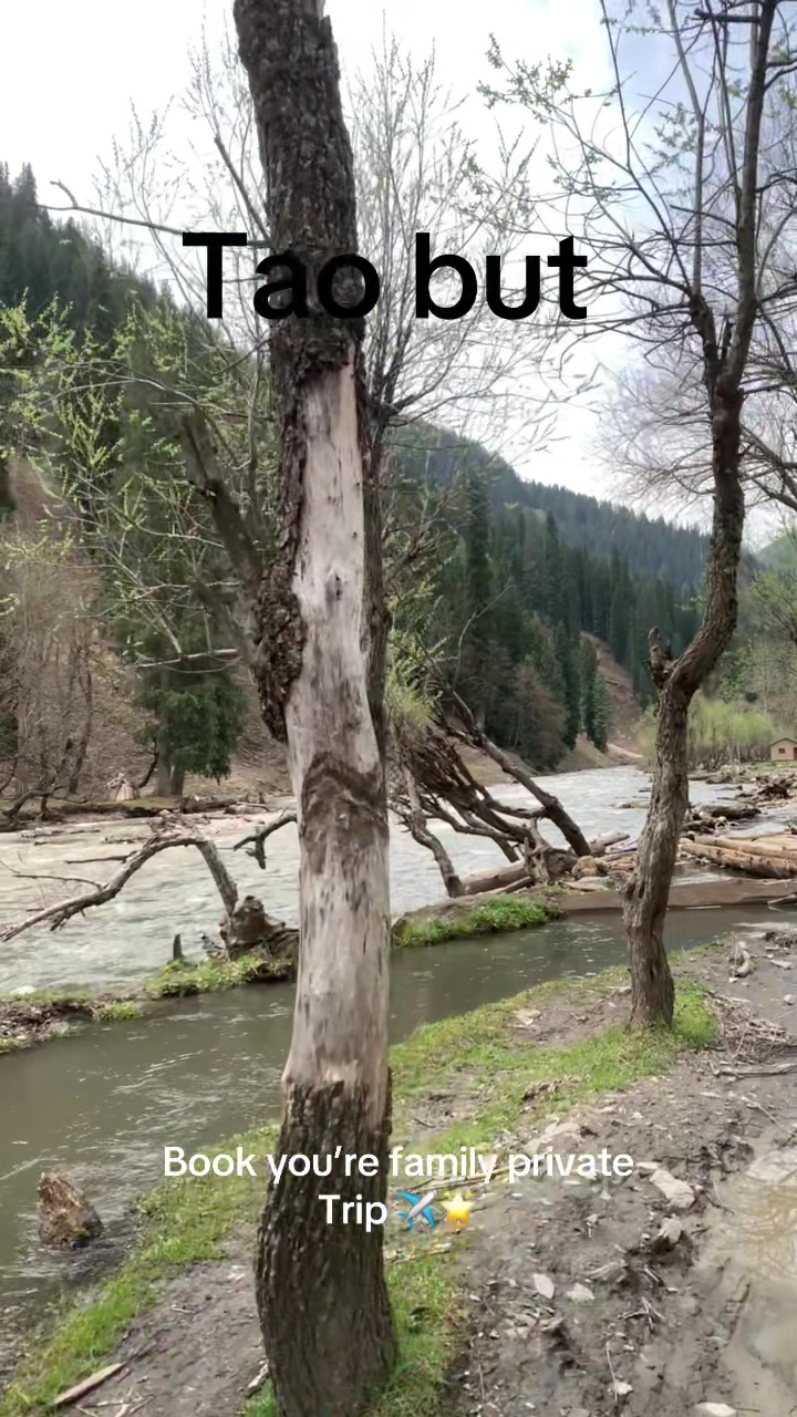 @Kashmir Diary 🍁