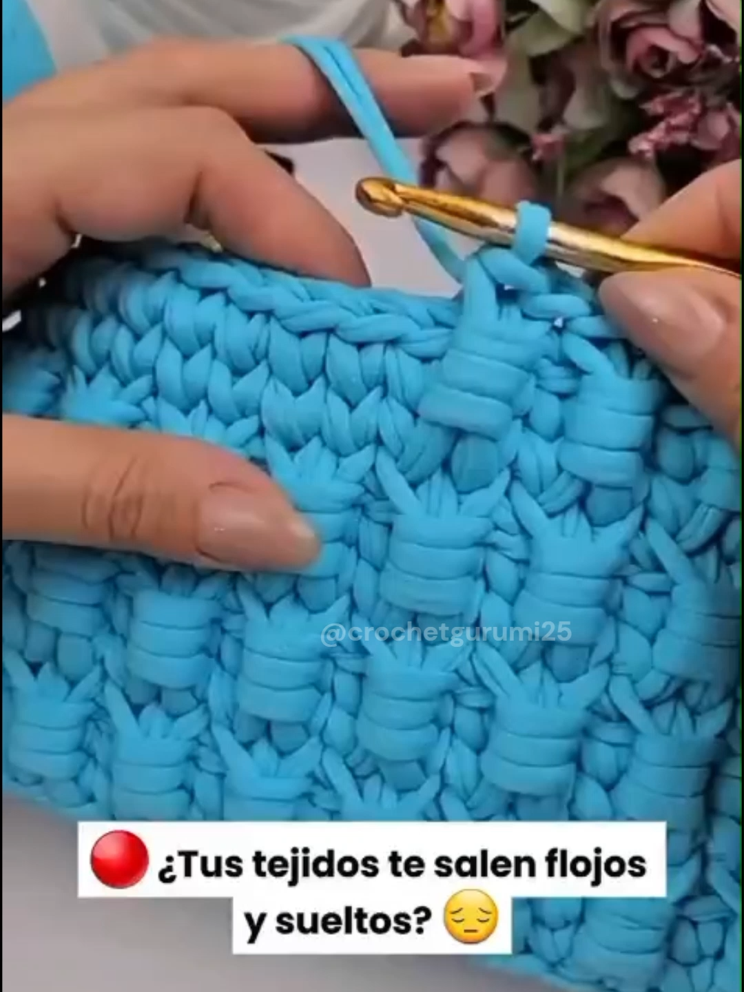@Crochetgurumi25