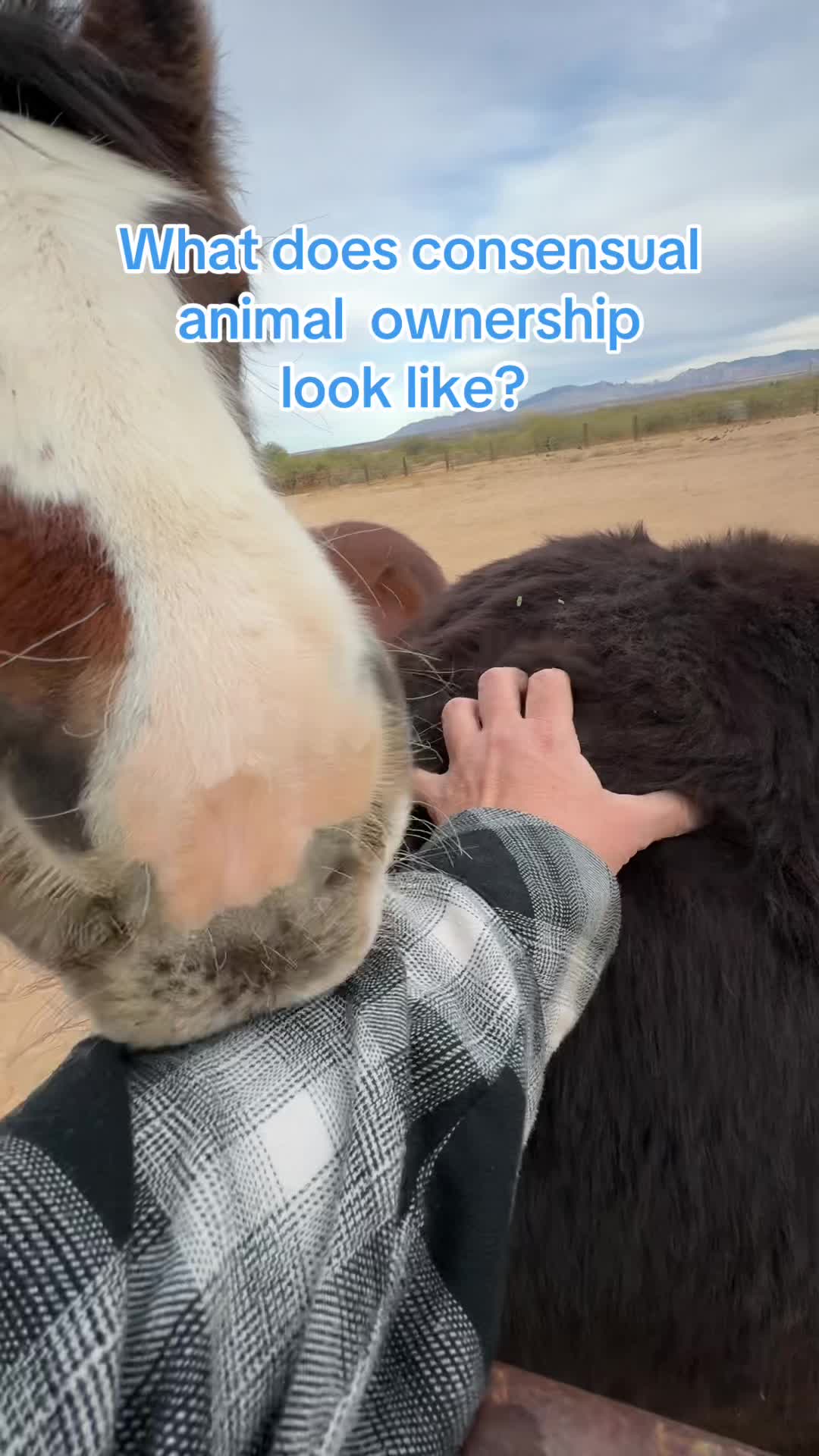 @Apache Powder Ranch