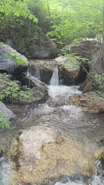 @SEL&Ccedil;UK