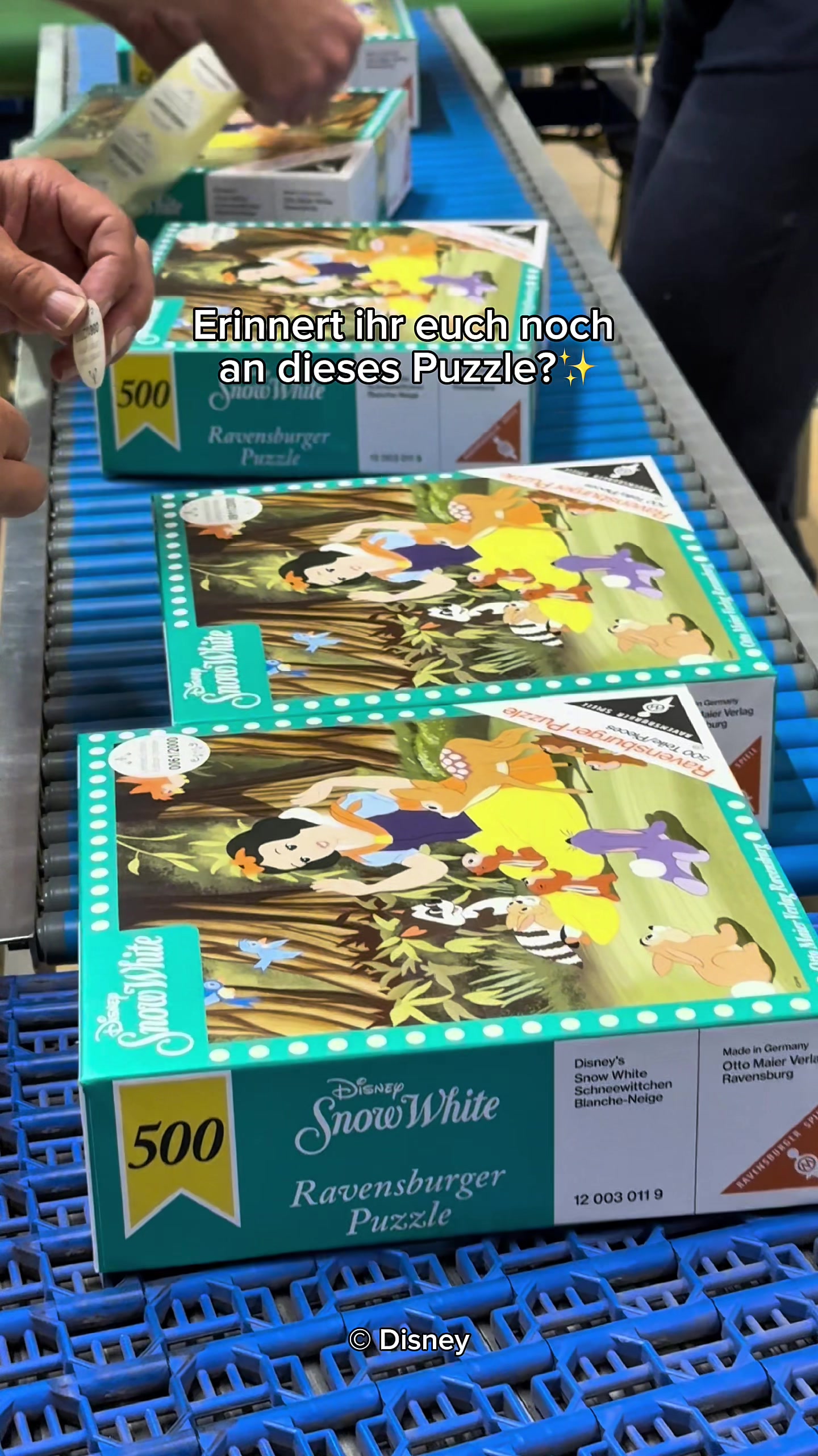@ravensburgerde