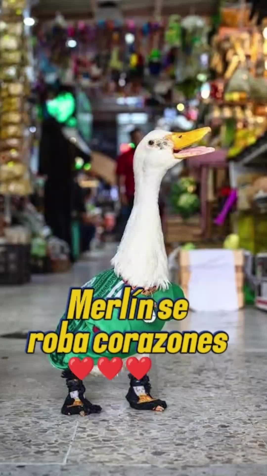 @Camino Hacia la Verdad