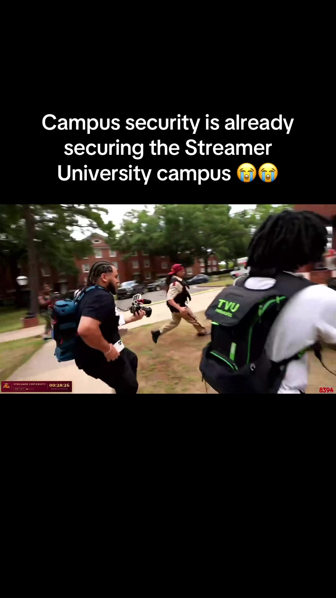 @Beezinthechat
