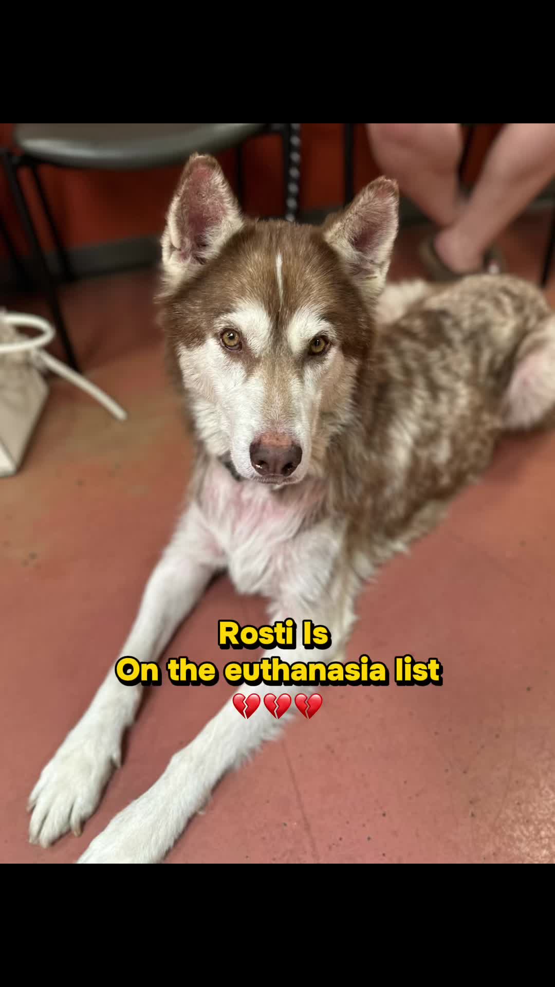 @Heather Gee