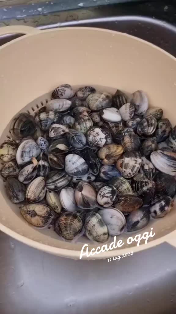 @Gino Di Francesco