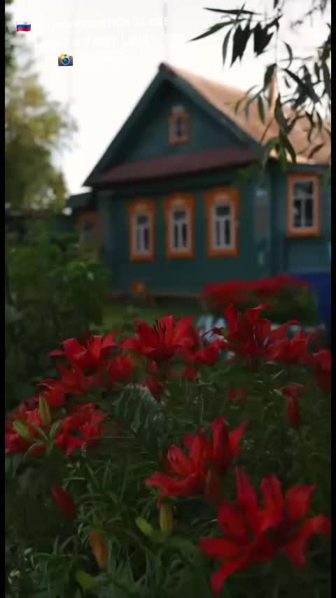 @grauzone333