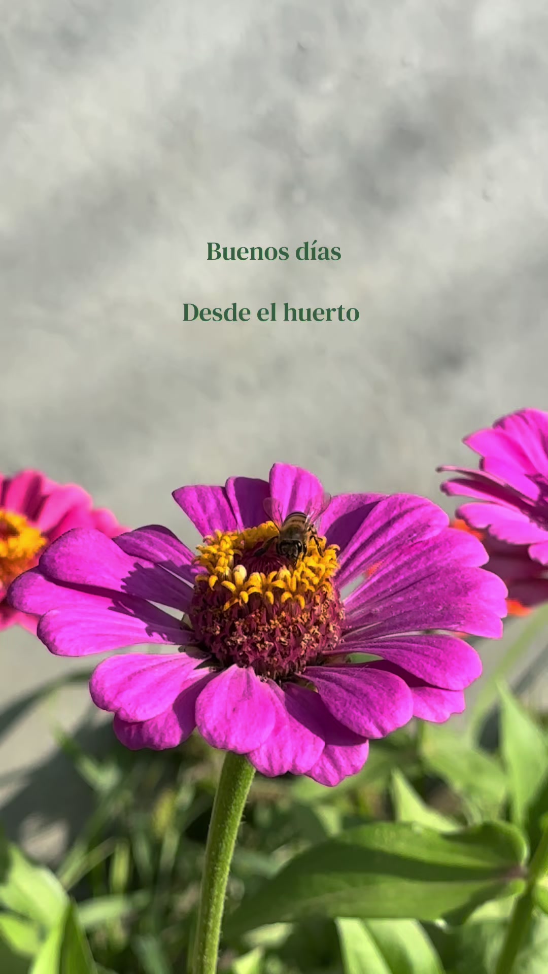 @cultivaconkarla