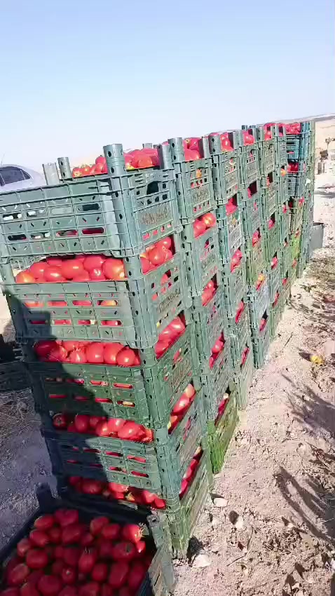 @MEHMET ÇAVUŞ Urfa