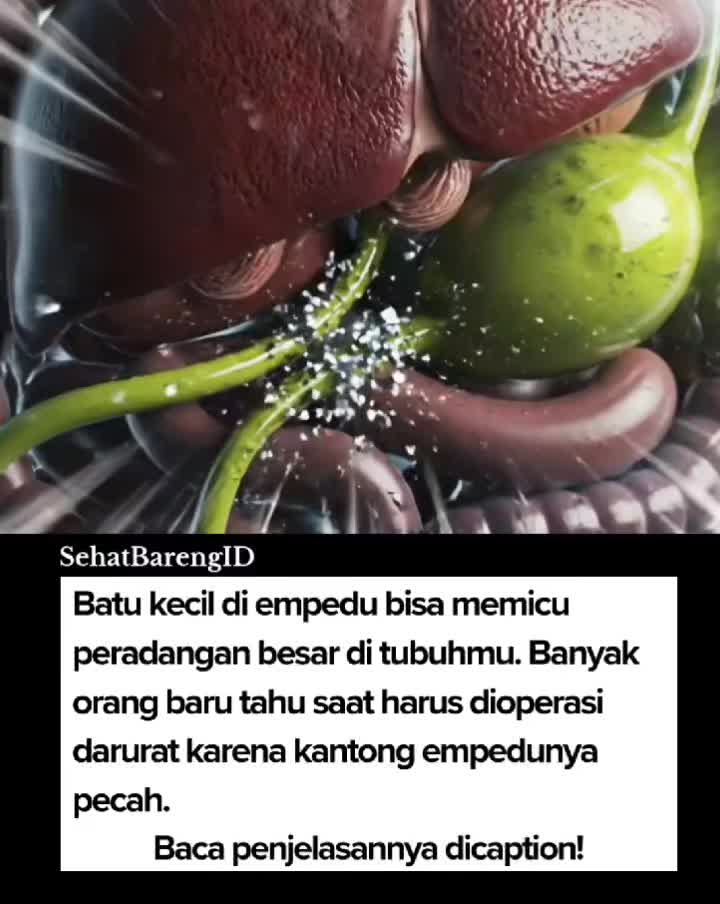 @SehatBarengID