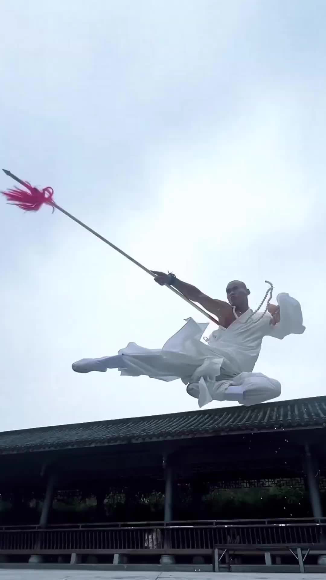 @ShaolinNextGen
