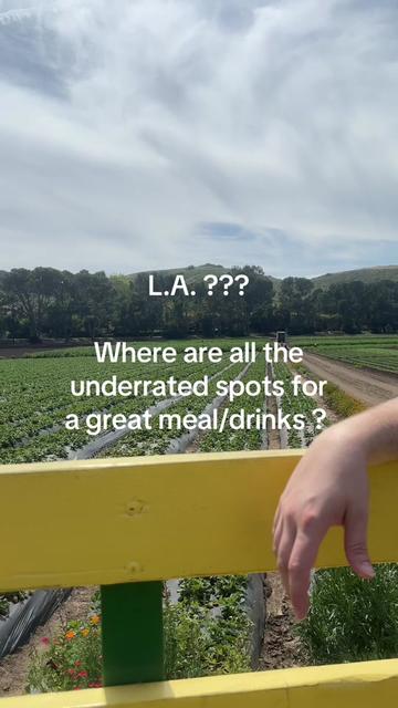 @Aly | Food Finds +Travel 🍜🛩️