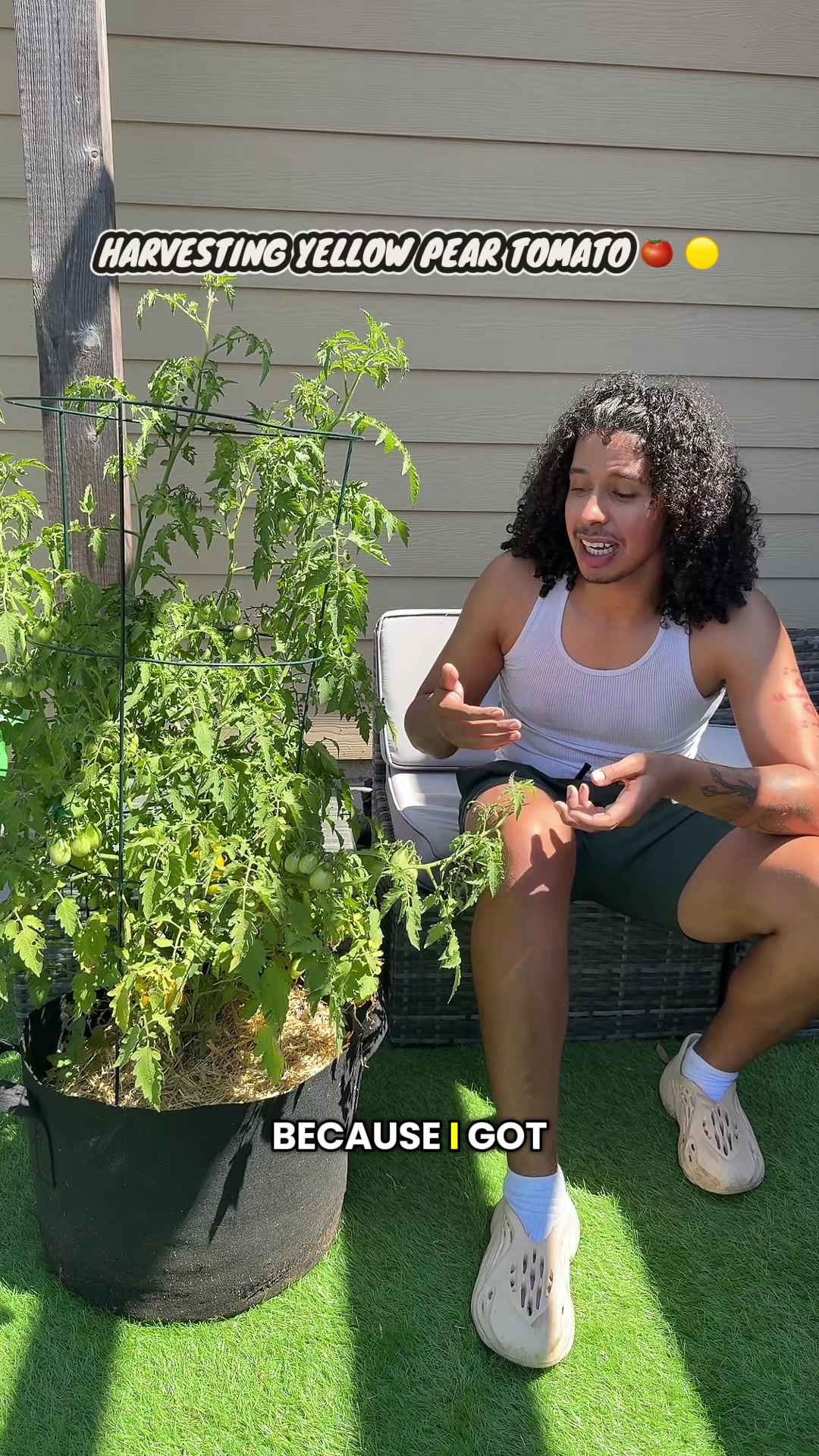 @whaleyswellness