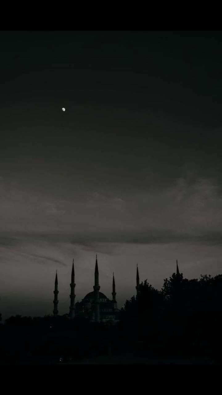 @ahalalchange