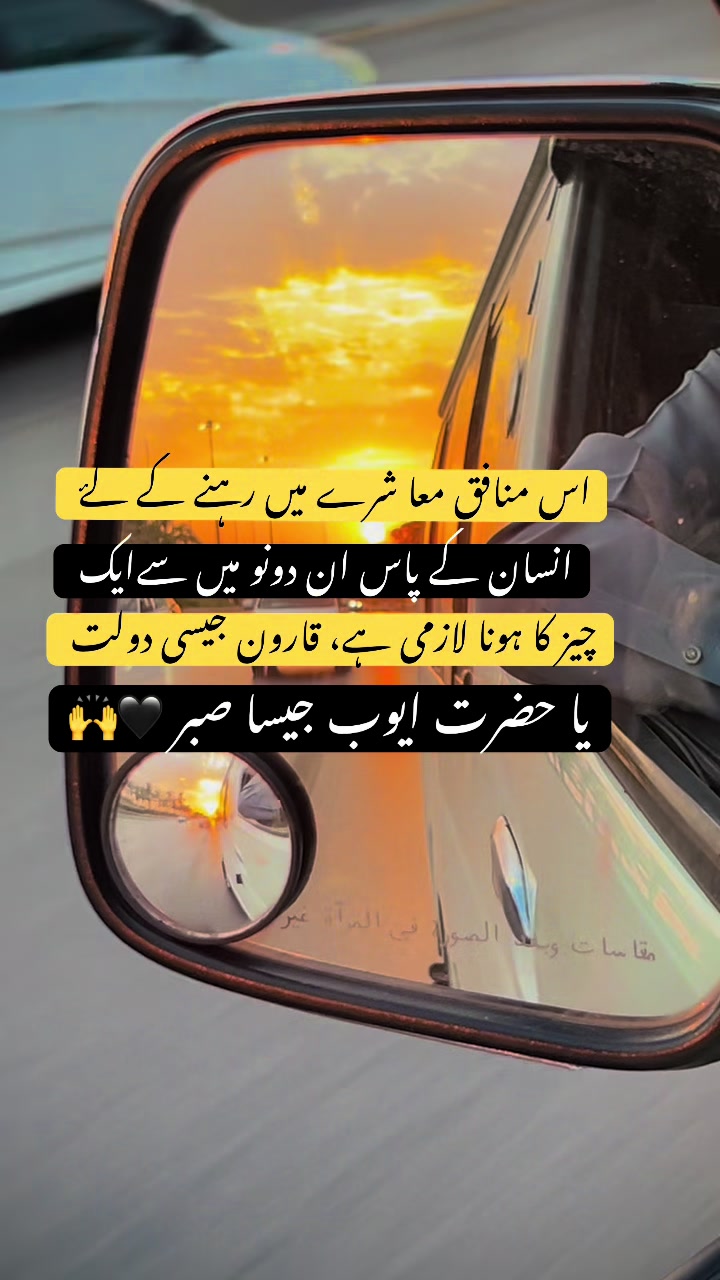 @🫵☠︎ Halak مسافر۔ ࿐ᴮᵒˢˢ👊