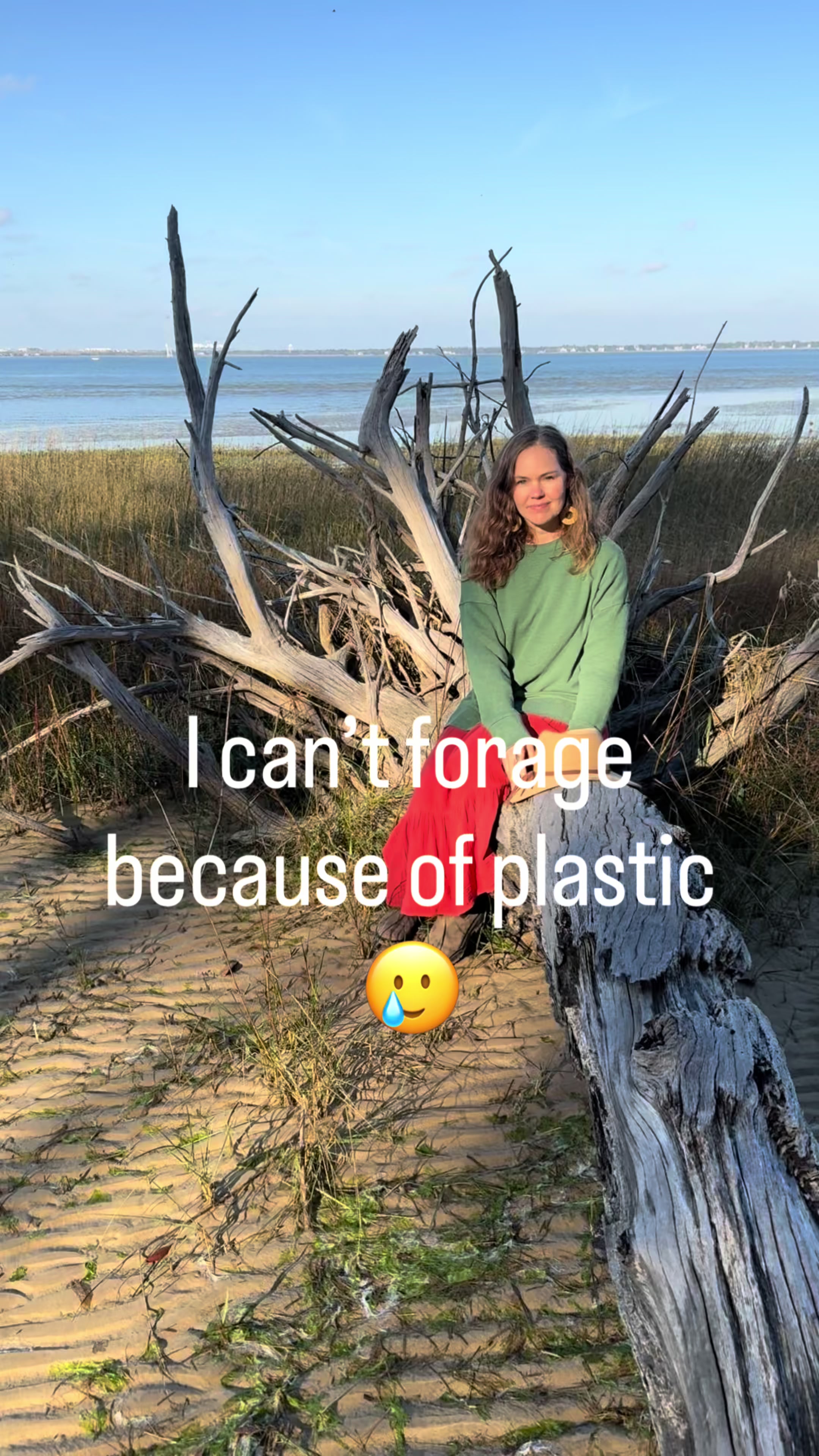 @wildherbacademy