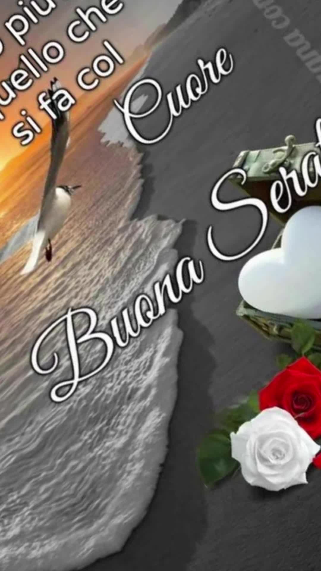 @selvaggia