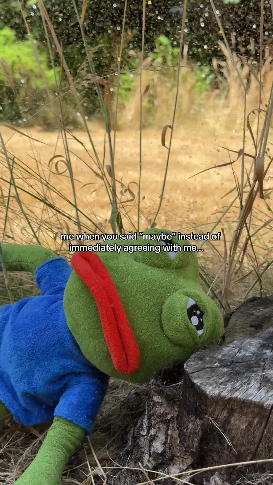 @Sad Frog Pepe 🐸